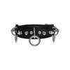 Leather Choker 13CS
