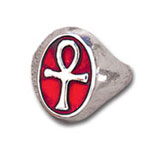 Life Cartouche
