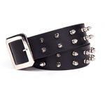 Two Row Spike Belt 2RSB